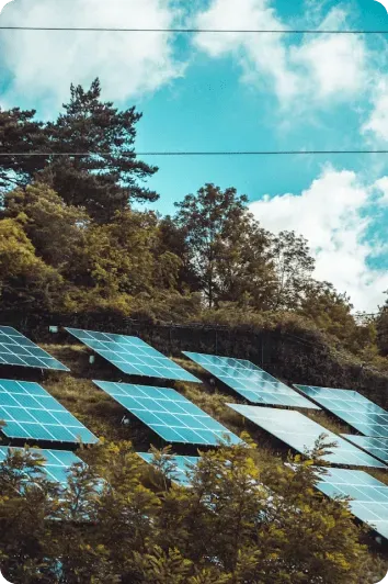 Rows of solar panels on a green hillside surrounded by trees