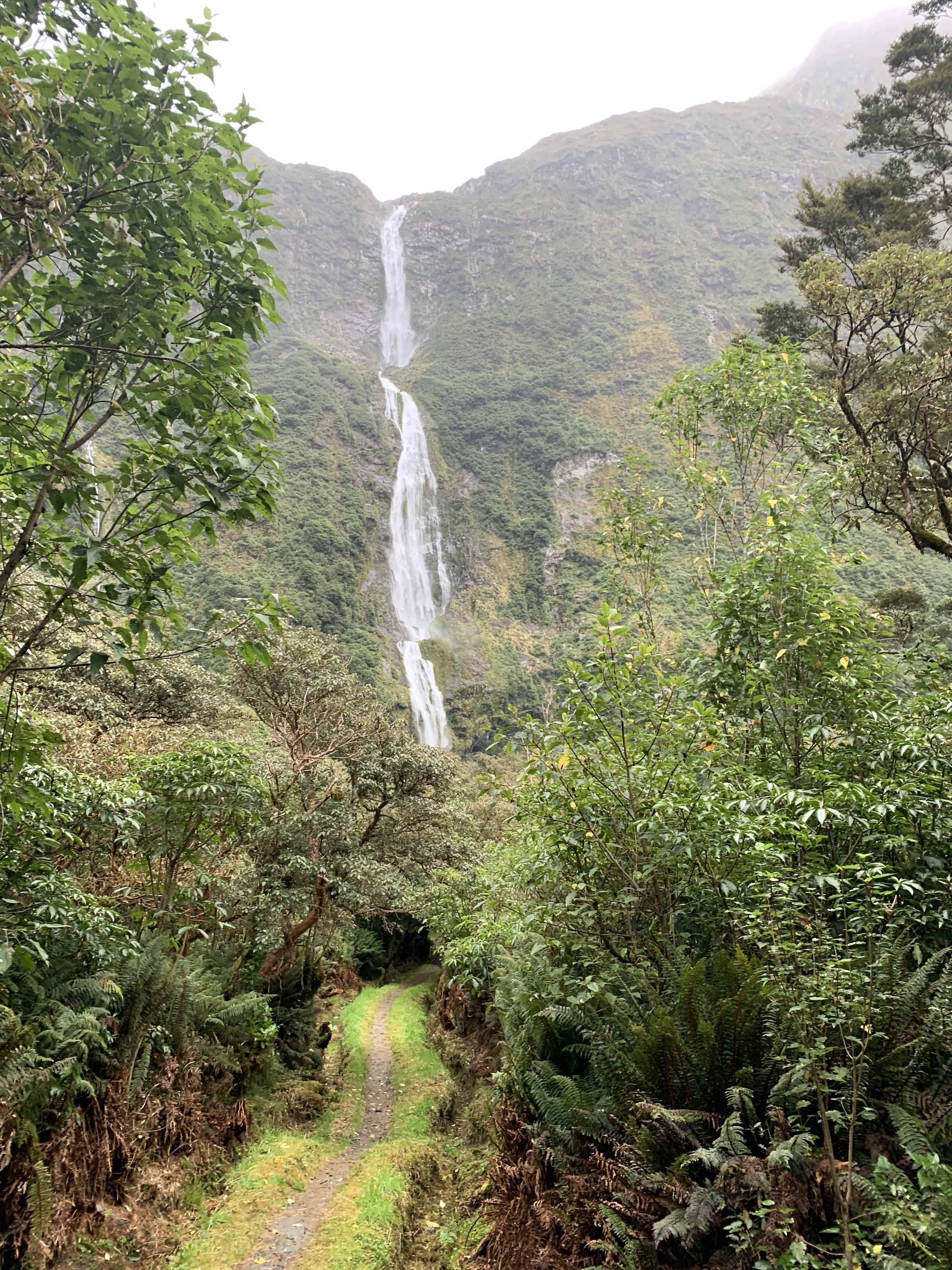 A path leading to a waterfall