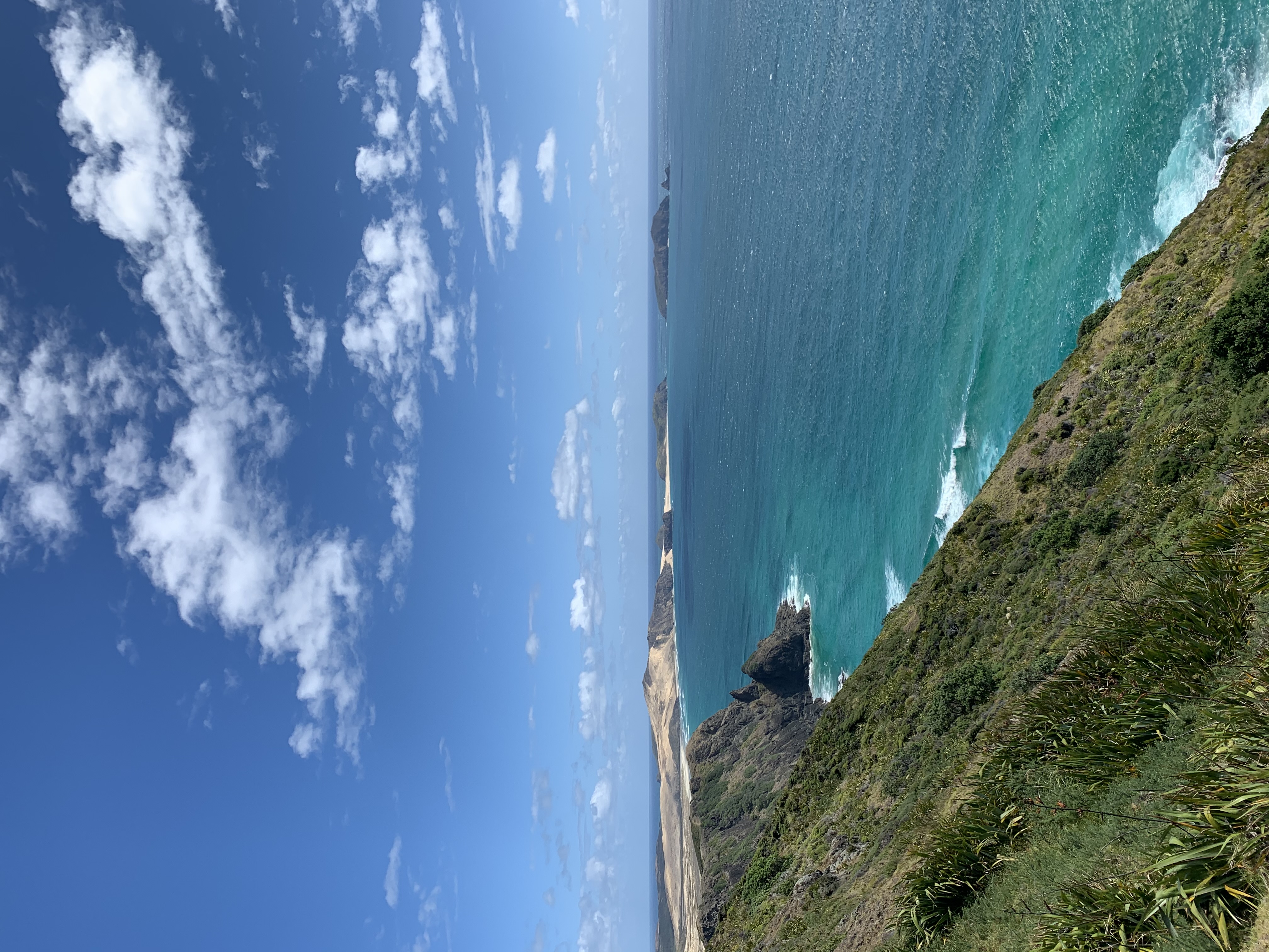 The coast at Cape Reinga