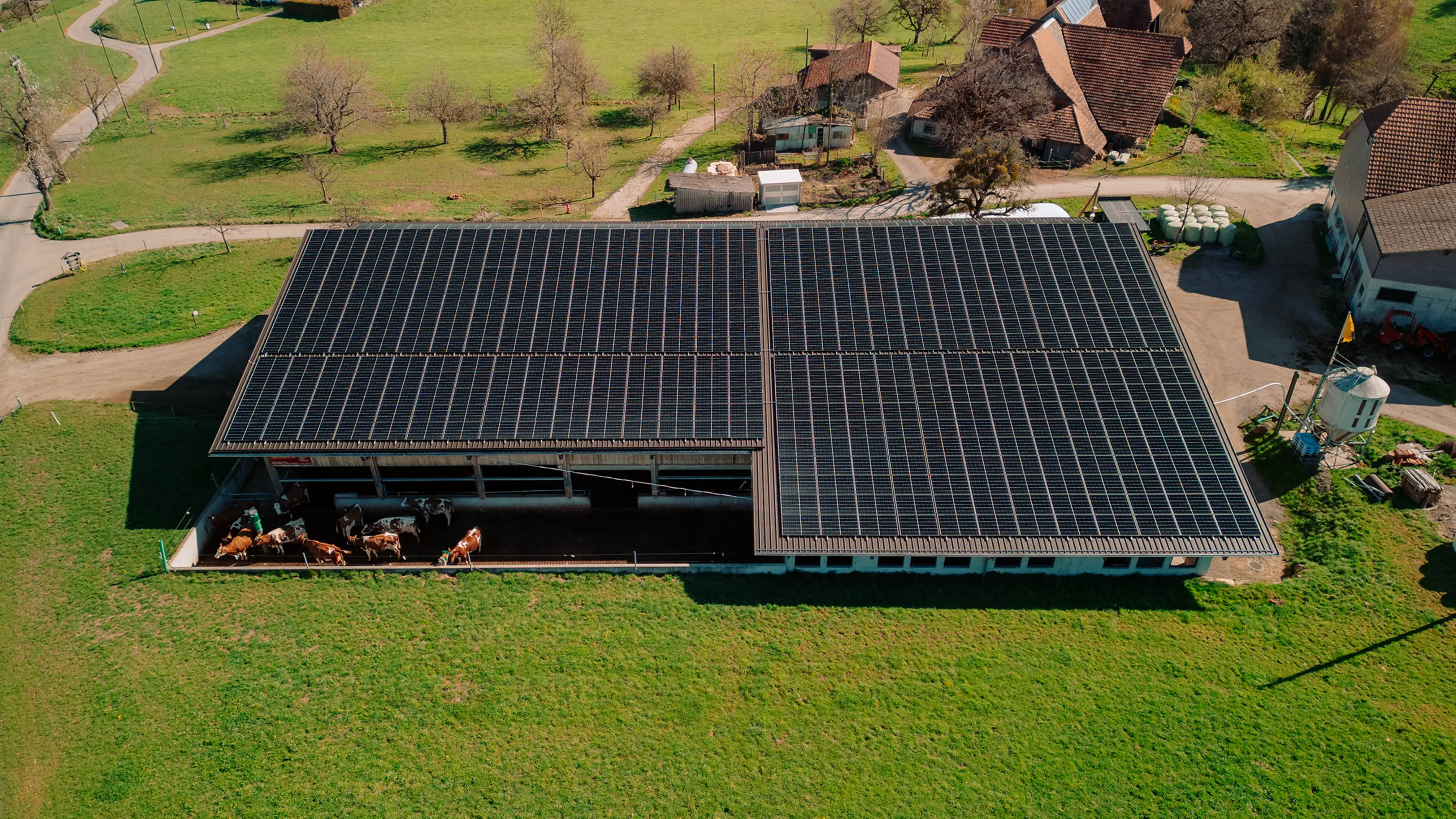 Solaranlage auf Stallgebäude mit Kühen in Rüschegg Aspen