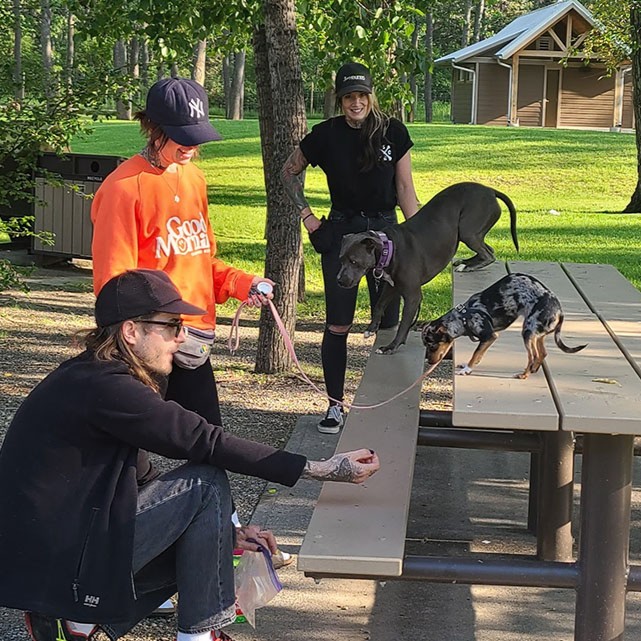 Hannah of 3 of Hounds in a dog training session