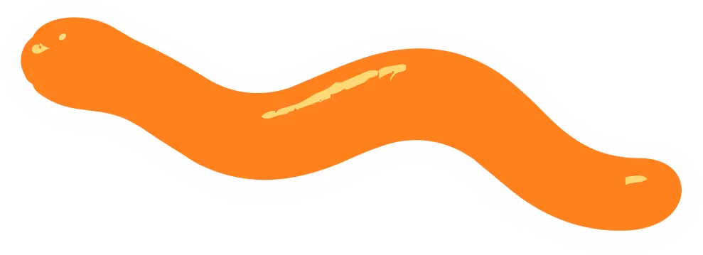 a cartoon version of a orange snake lolly with a white border