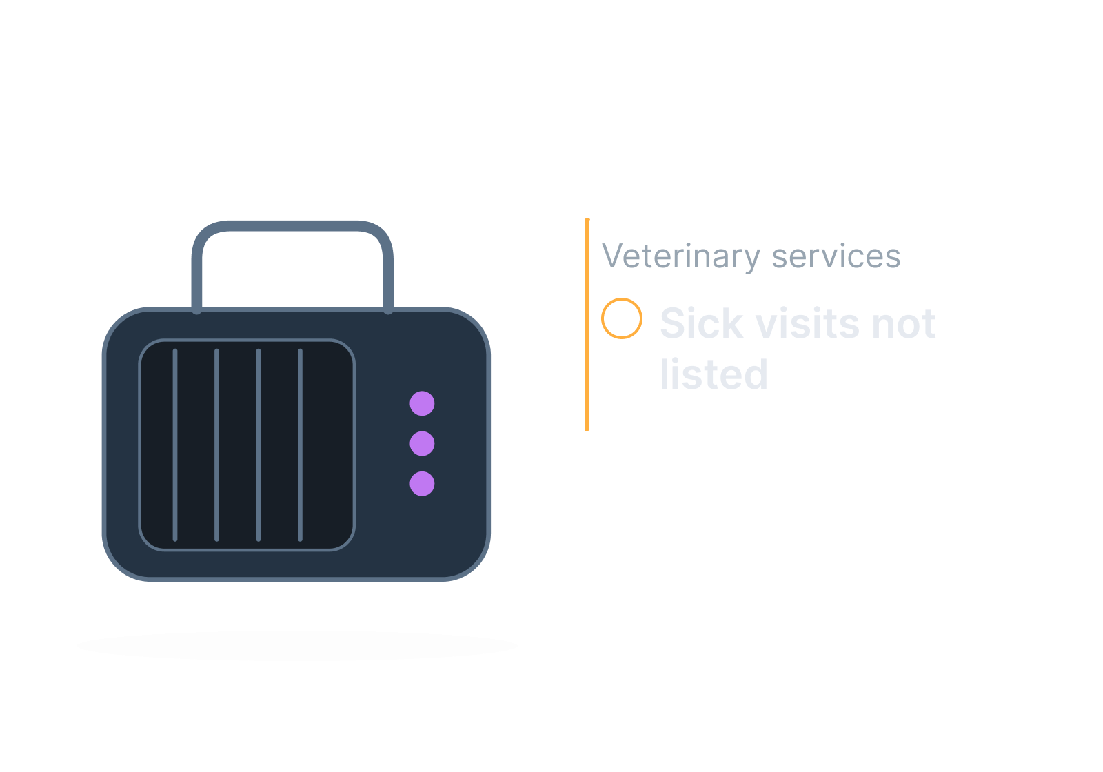 Illustrative pet carrier and clinic service card showing sick visits not listed.