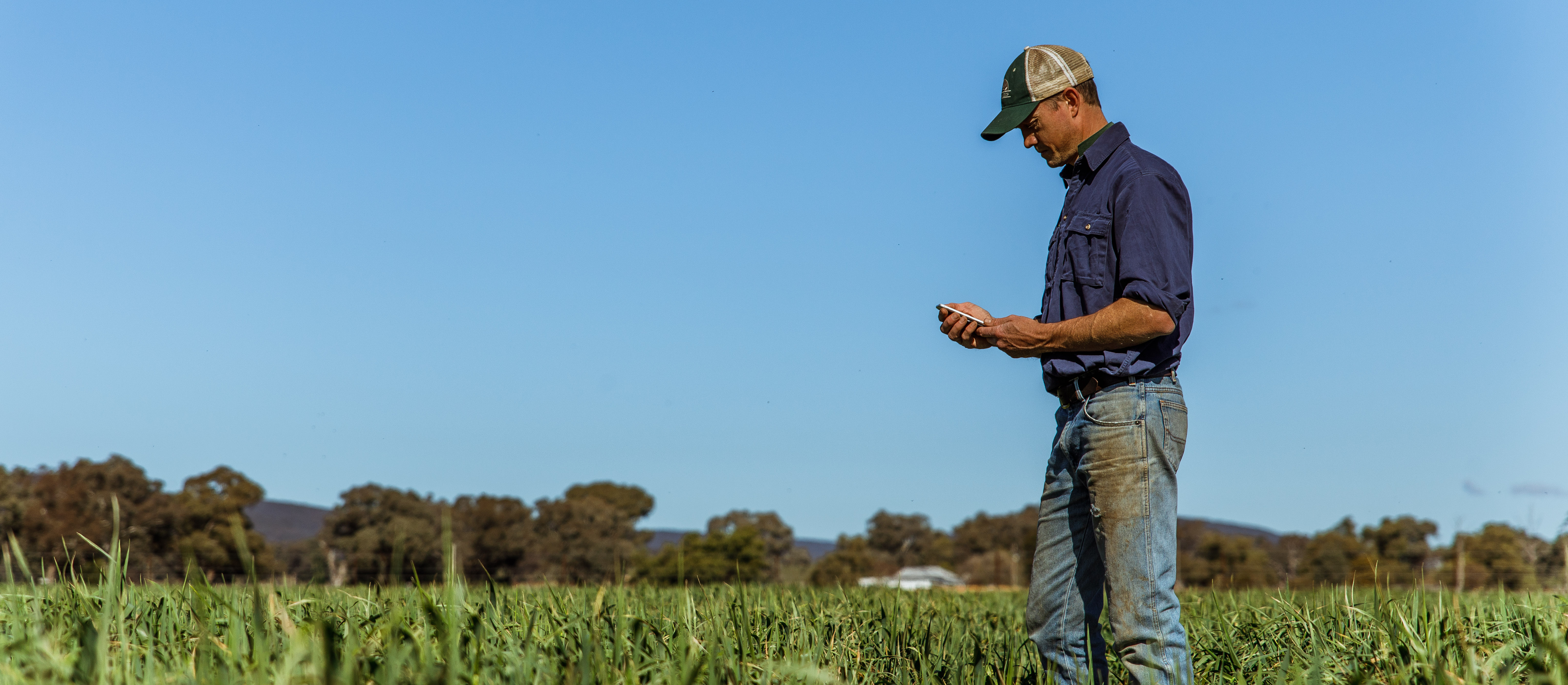 A farmer standing in a paddock on his farm in Southern New South Wales looking at his AgriDigital software app on his phone.