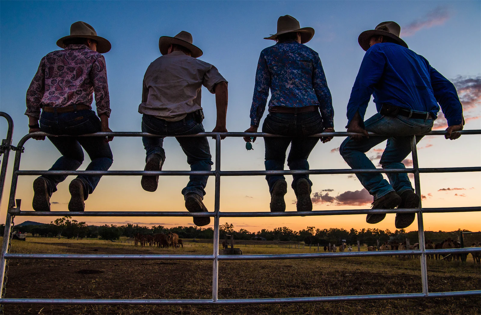 A group of farmers sitting on a metal gate watching the sunset over their farm in regional Victoria