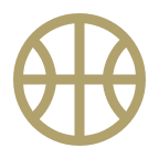 Icon of a basketball that represents sports courts as a service provided.