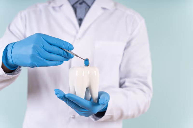 The Parts That Compose A Dental Implant And How The Dental Implant Is Placed