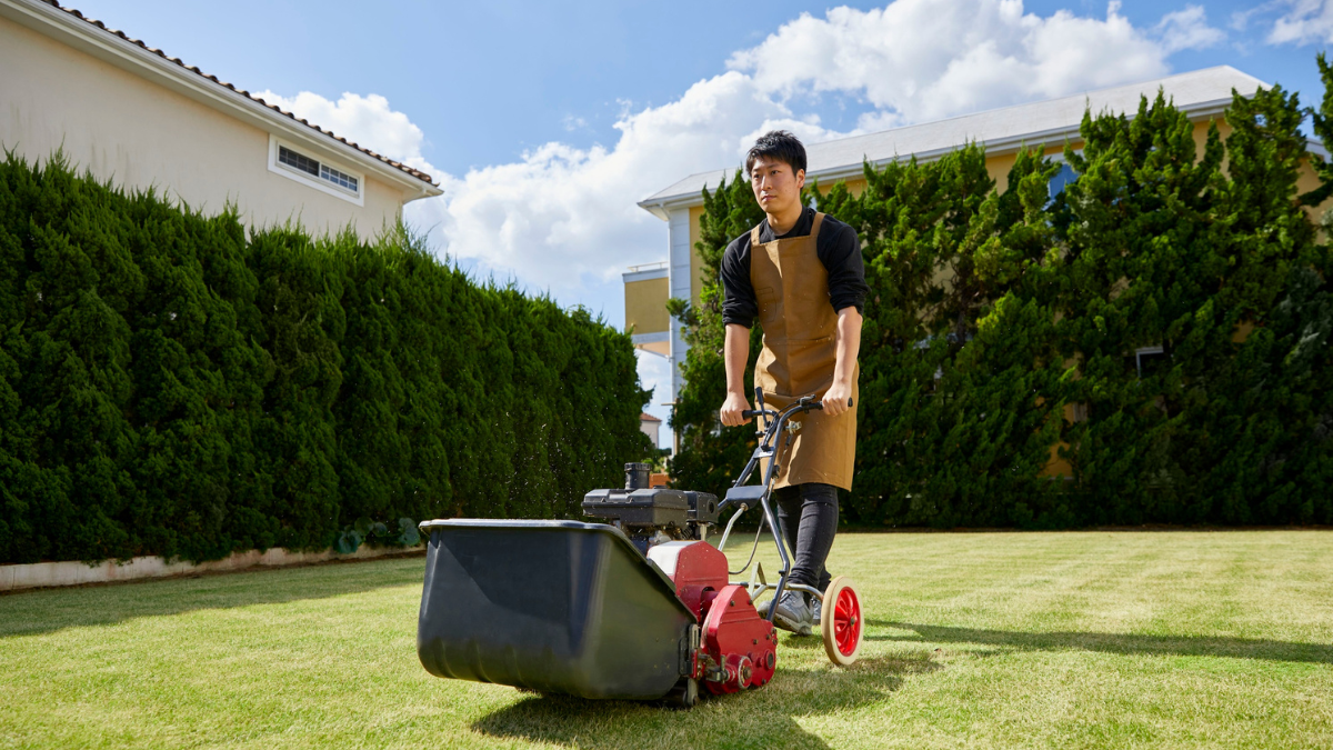 Nghề cắt cỏ ở Mỹ và những điều bạn cần biết