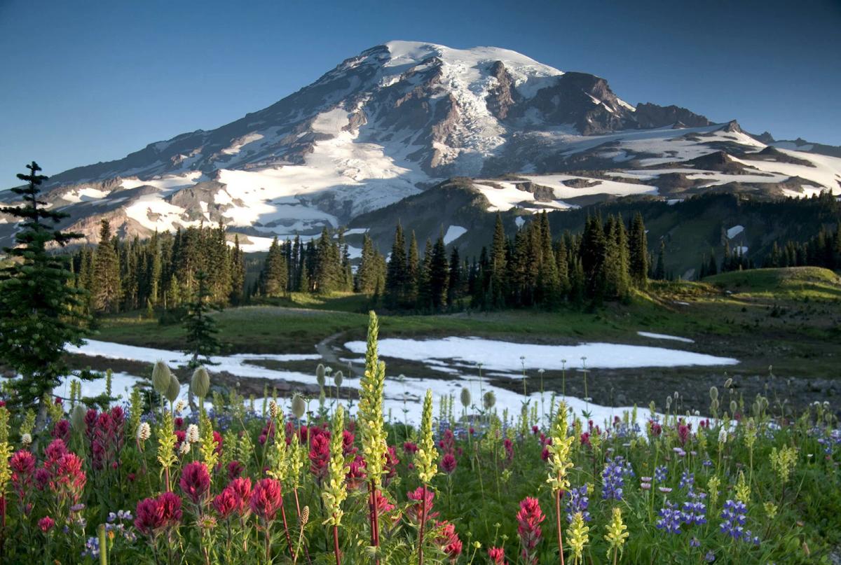 Beautiful Mount Rainier