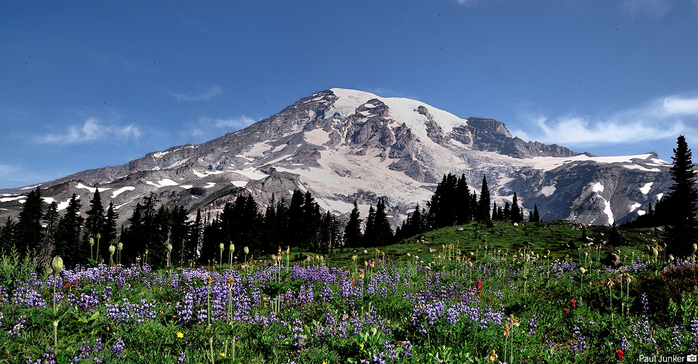 Mt Rainier Cultural Landscape | RMI Expeditions