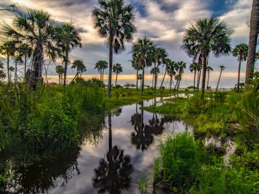 Everything You Need To Know When Visiting Hunting Island State Park, South  Carolina | Beachside Getaway