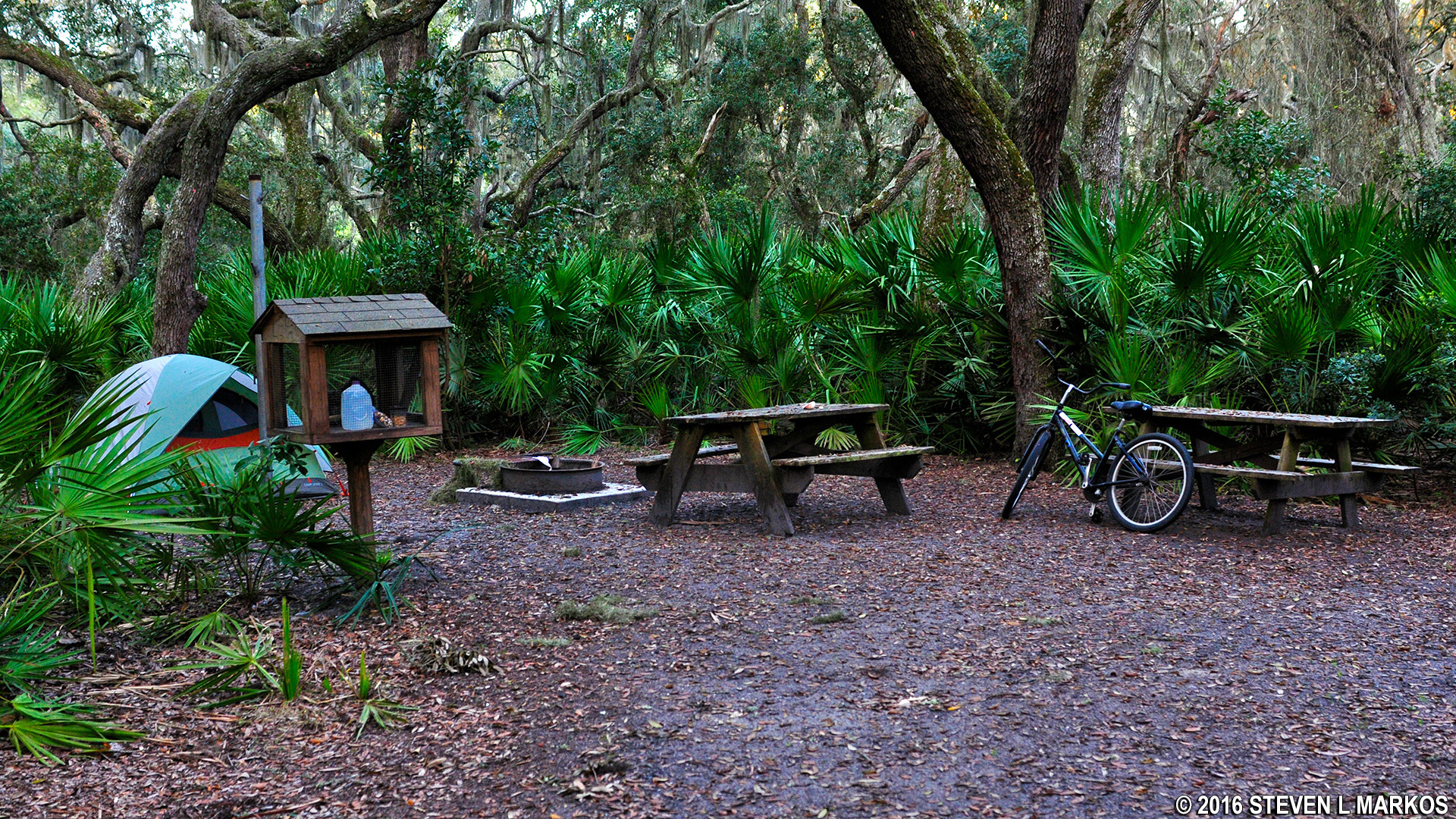 Cumberland Island National Seashore | SEA CAMP CAMPGROUND |