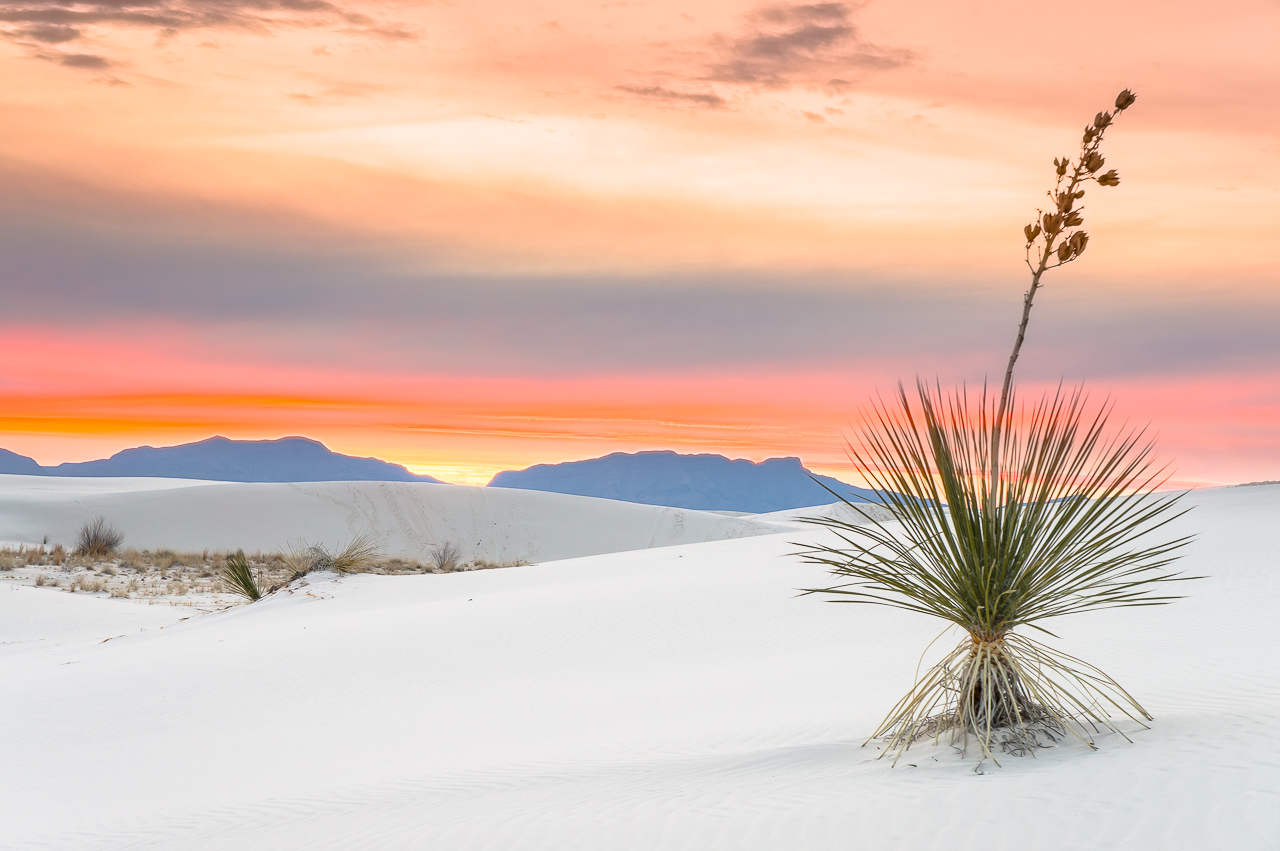 White Sands National Monument, New Mexico | Pictures and Prints