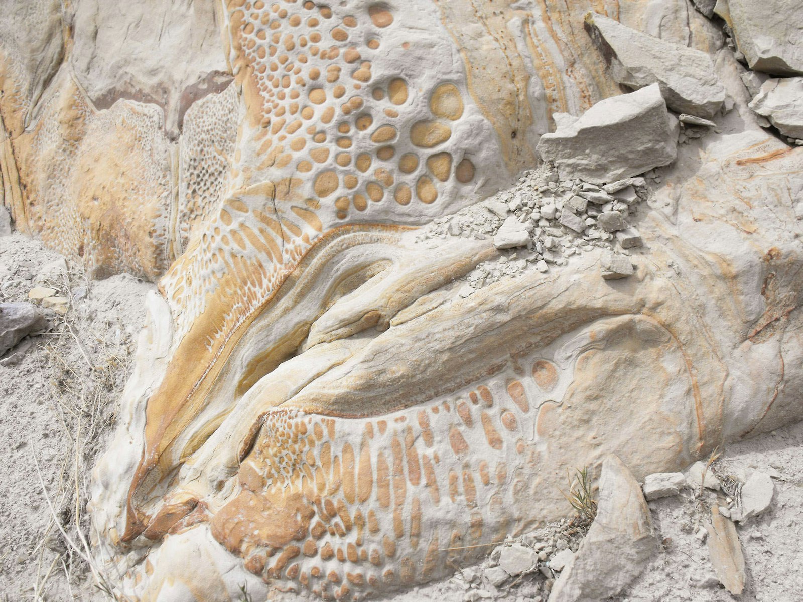 Dinosaur National Monument | National Park Foundation