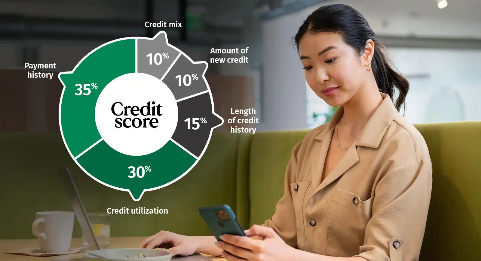 Payment history=35%; Credit utilization=30%; Length of credit history=15%; Amount of new credit=10%; Credit mix=10%