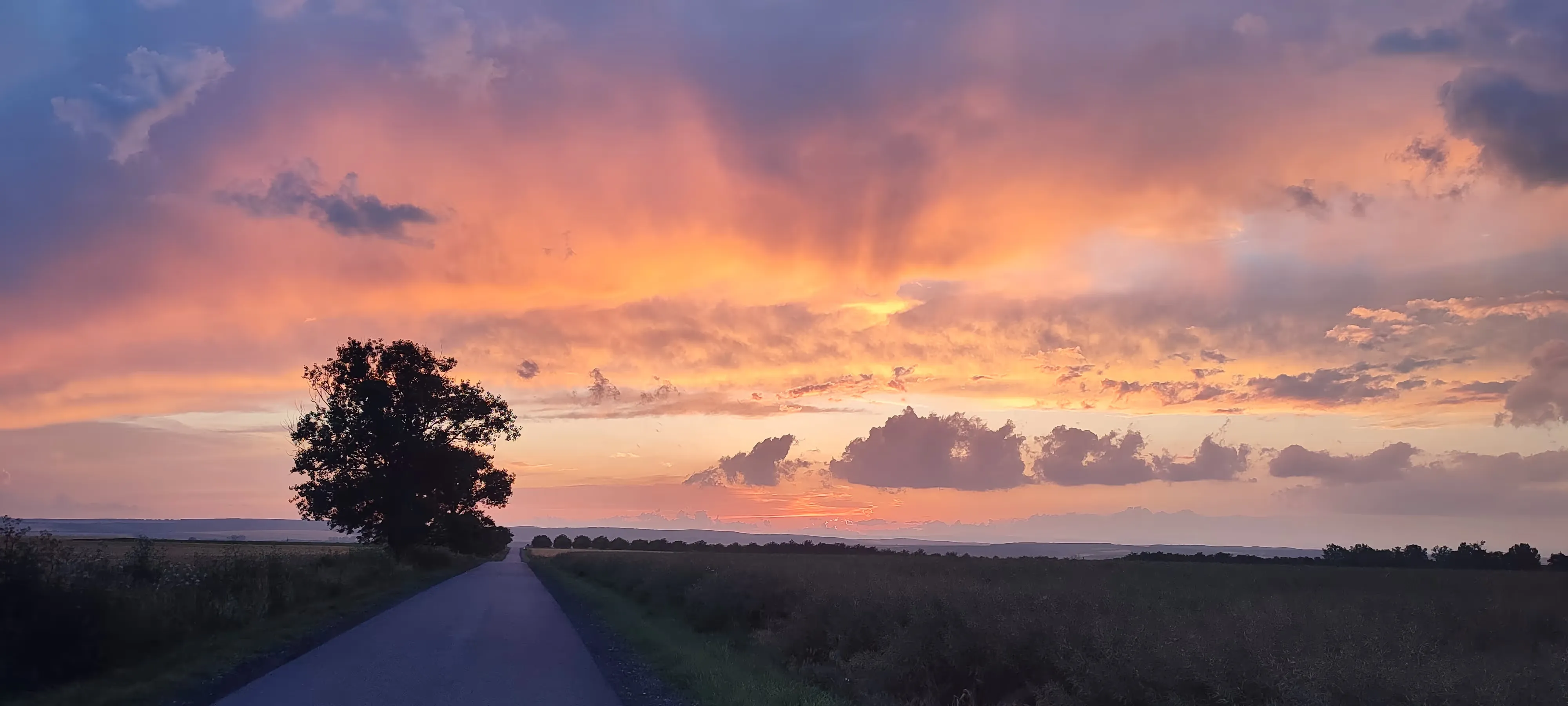 Cesta vedúca cez pole s jedným stromom pri západe slnka a farebnou oblohou s oblakmi.