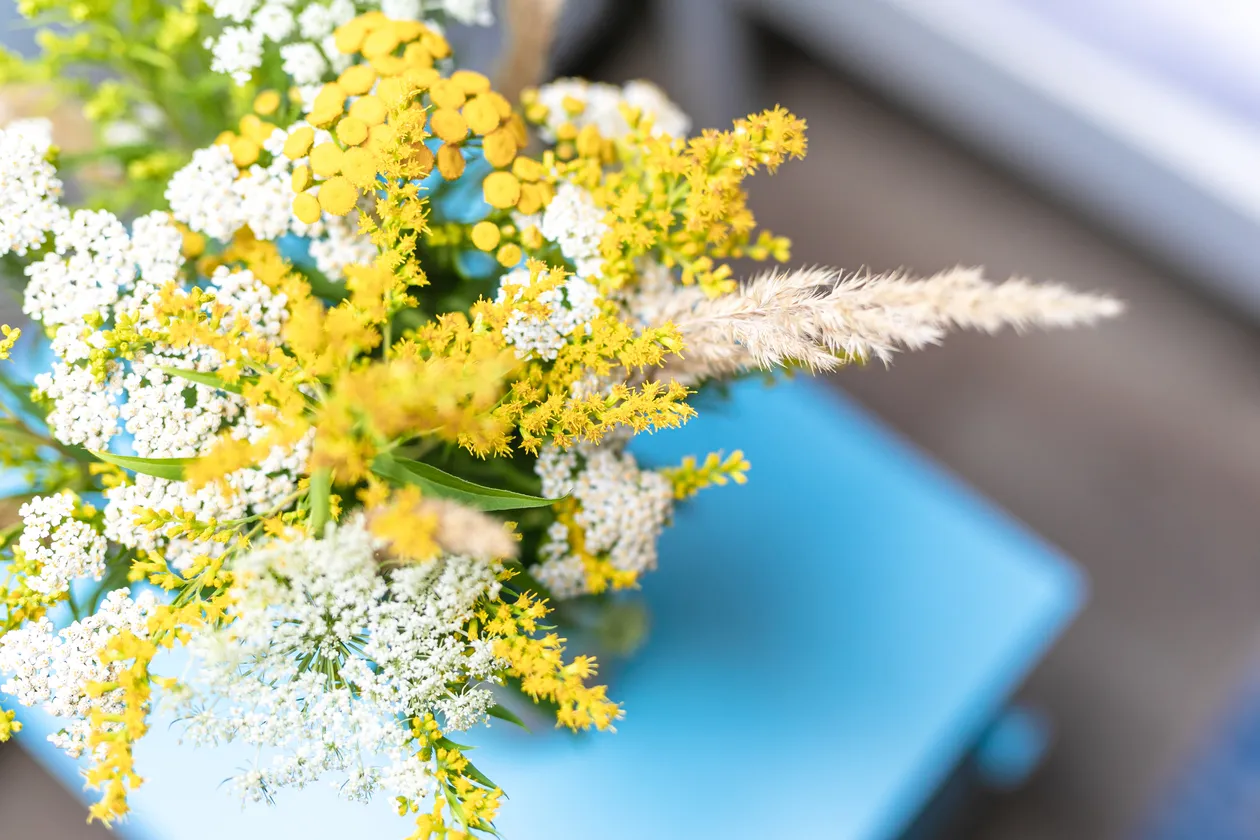 Kytica žltých a bielych divokých kvetov na modrom povrchu.