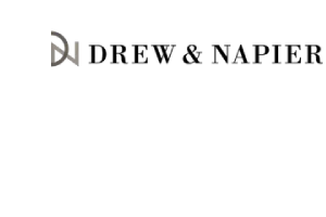 Drew & Napier logo