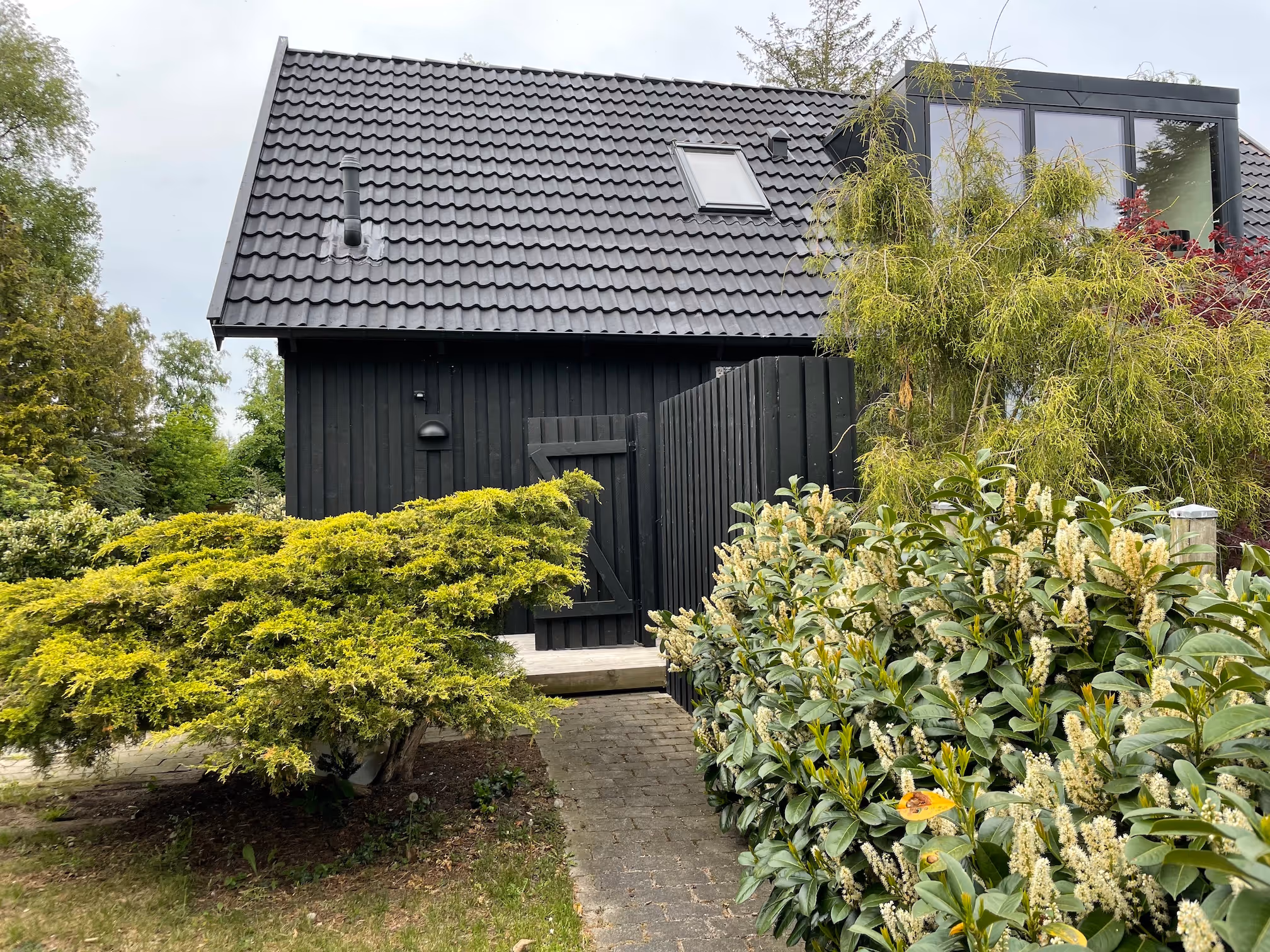 Moderne sort træhus med sort tag, omkranset af grønne buske og træer i haven.