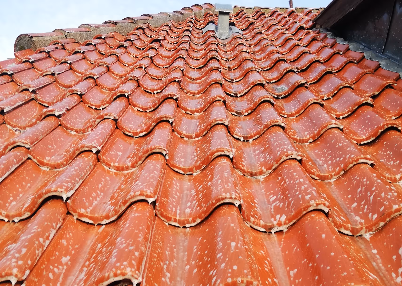 Rød tagsten på et tag, bliver algebehandlet mod alger og lav