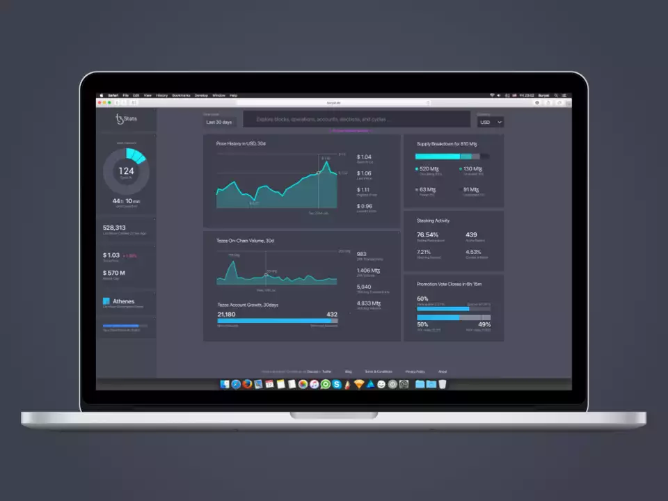 TzStats blockchain explorer design