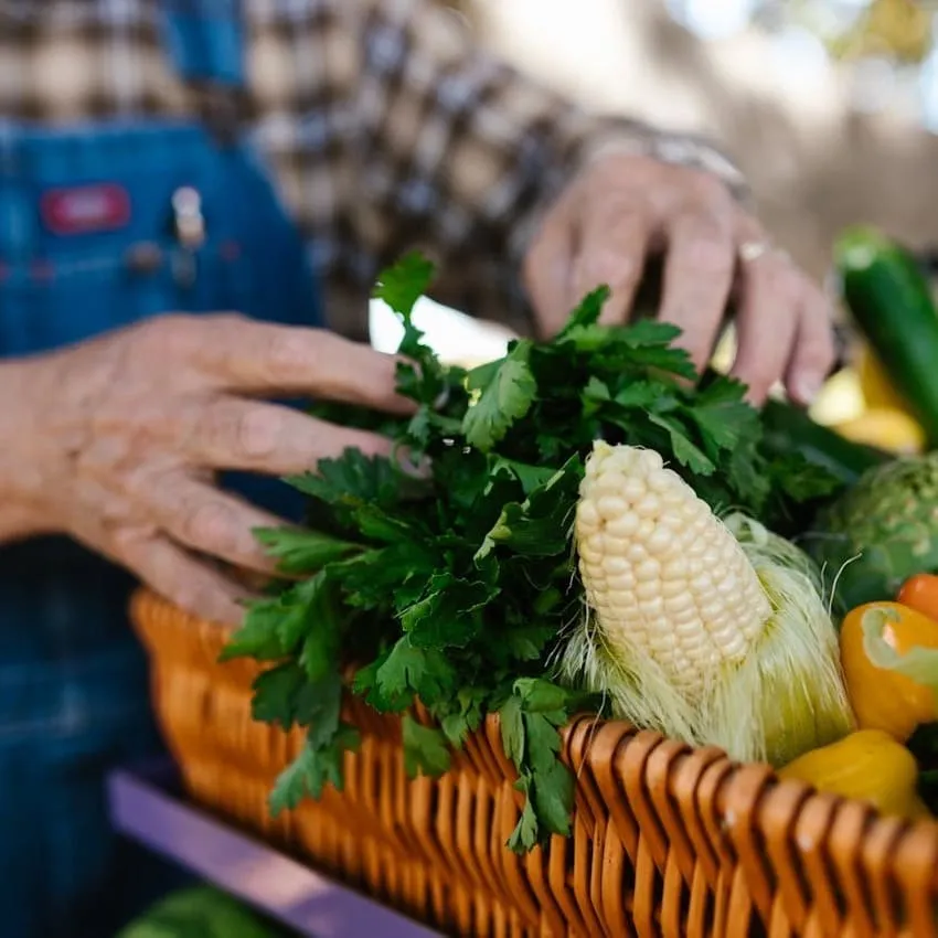 Image pour illustrer les associations pour le Maintien de l'Agriculture Paysanne