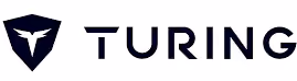 Turing Vision