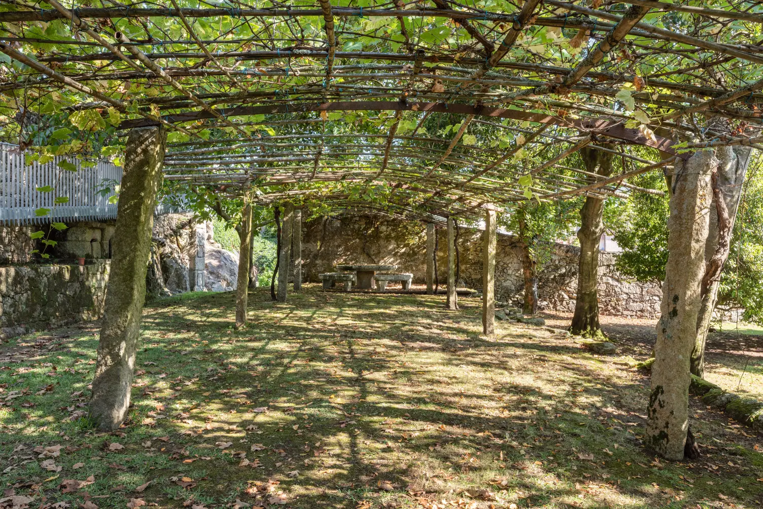 Stone pergola with leafy vines overhead and a stone table with benches at the far end in a shaded garden area.