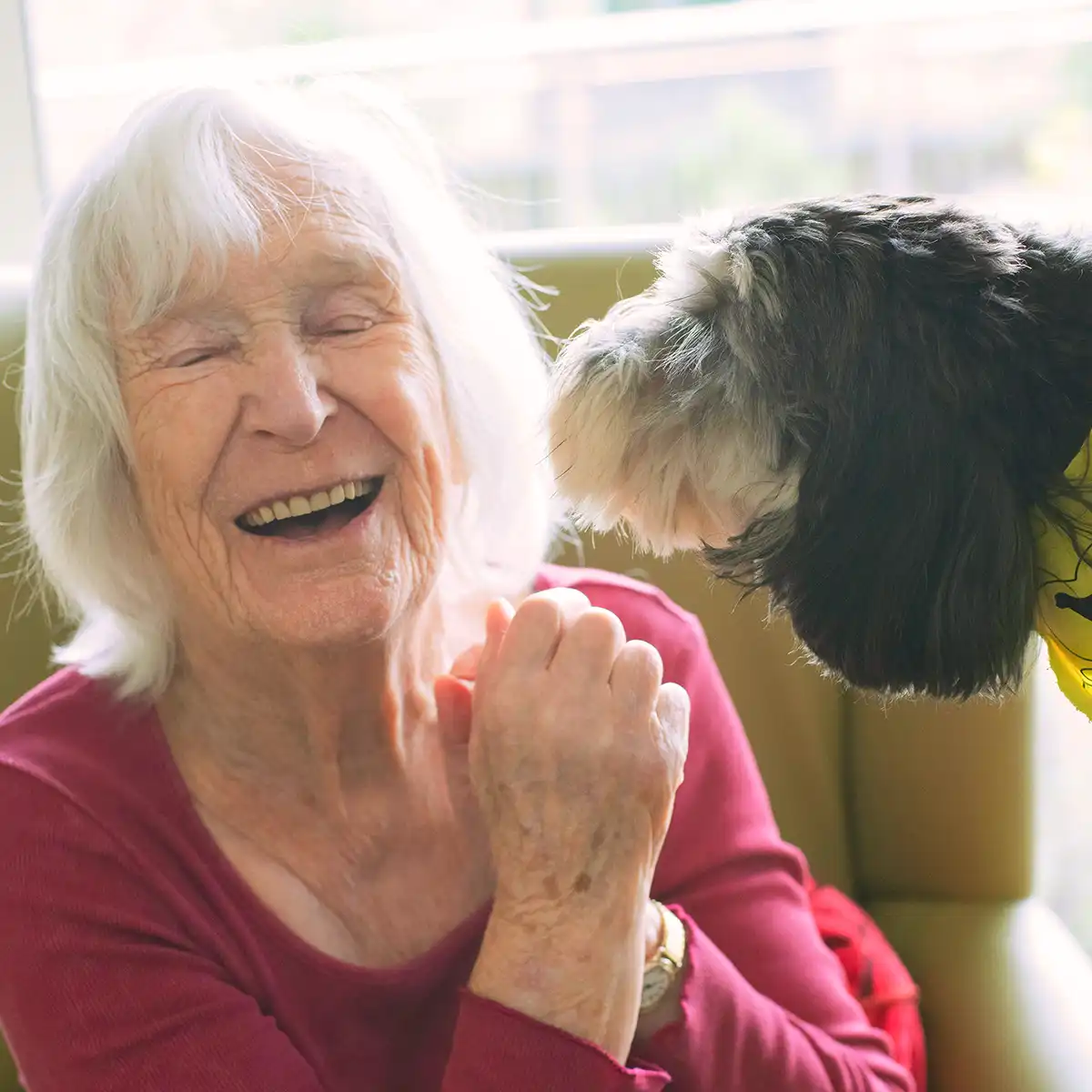 Lachende oudere vrouw met wit haar die een harige hond aankijkt.