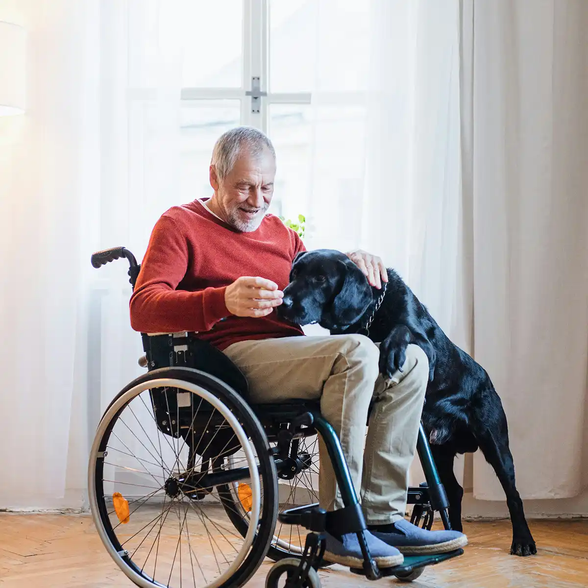 Een man in een rolstoel knuffelt en speelt met een zwarte labrador in een lichte kamer.