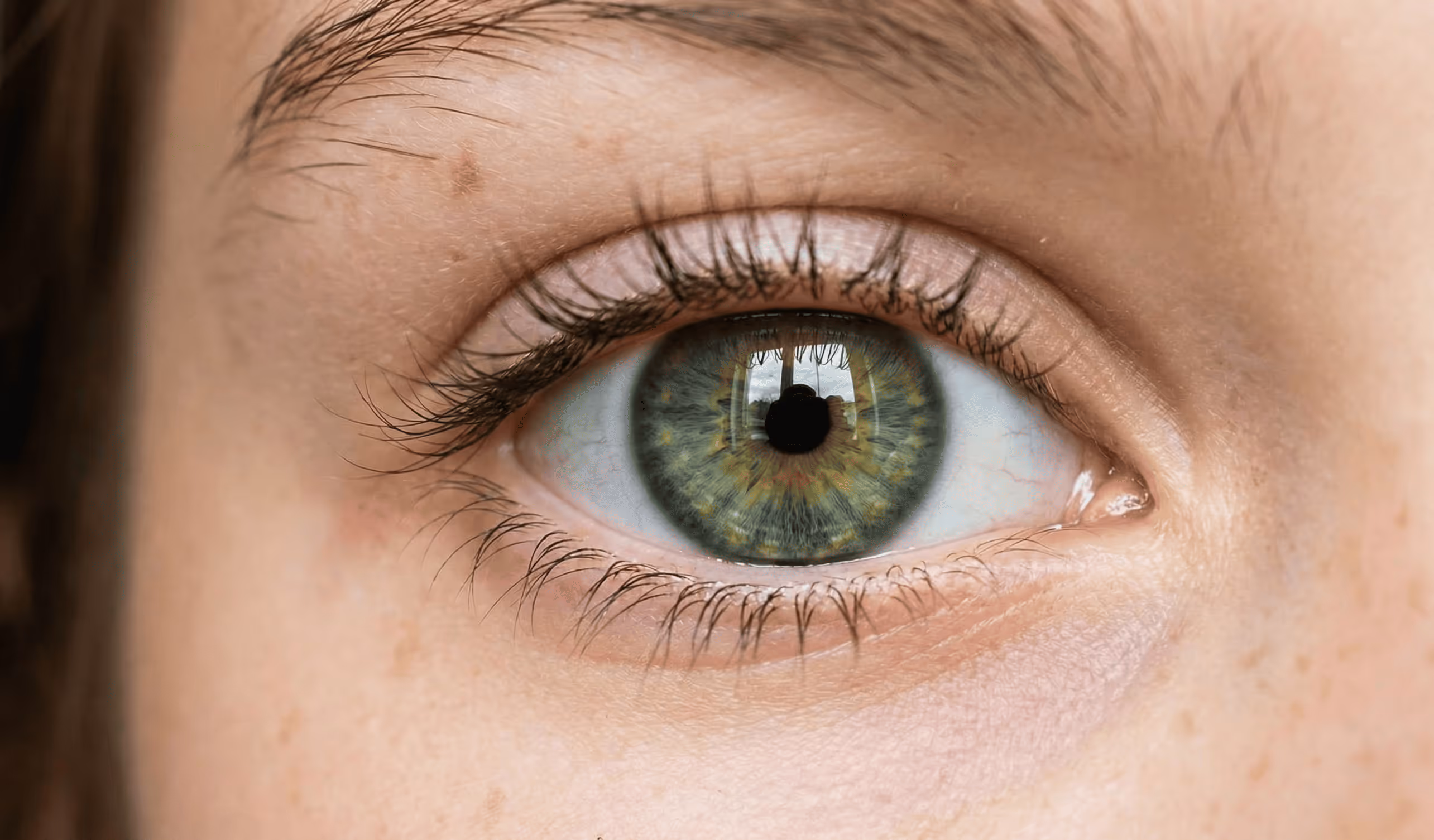 Nahaufnahme eines grünen Auges mit sichtbarer Irisstruktur und Wimpern.