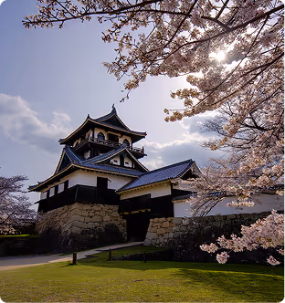 Traditional Japanese castle with stone foundation surrounded by blooming cherry blossom trees under a partly cloudy sky.