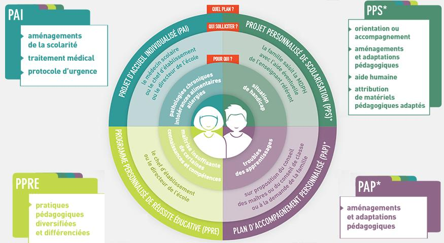 infographie élèves besoin particuliers
