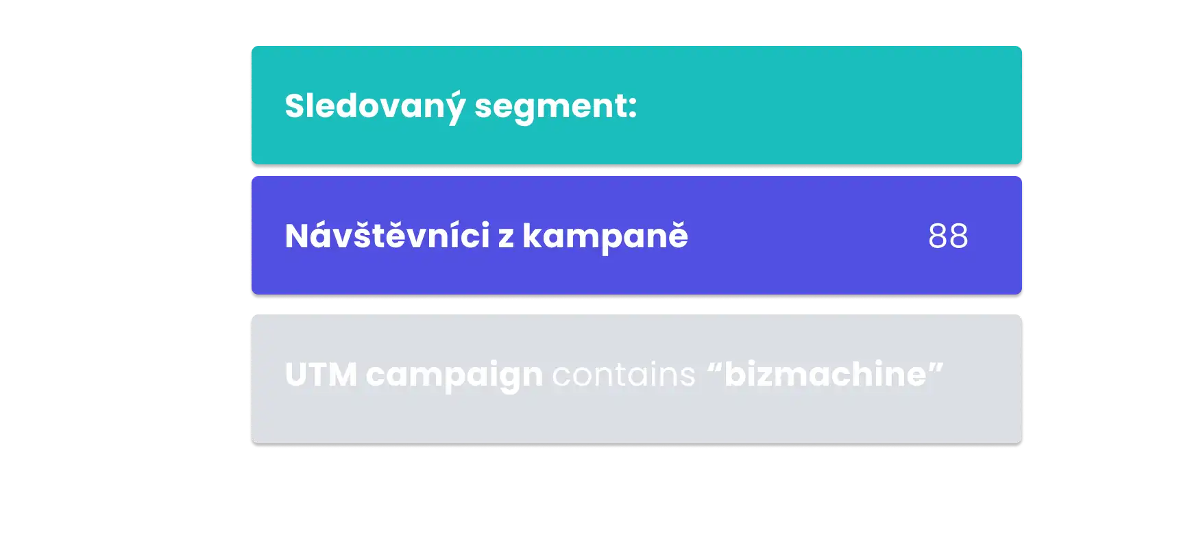 Sledovaný segment v BizMachine WebTracks