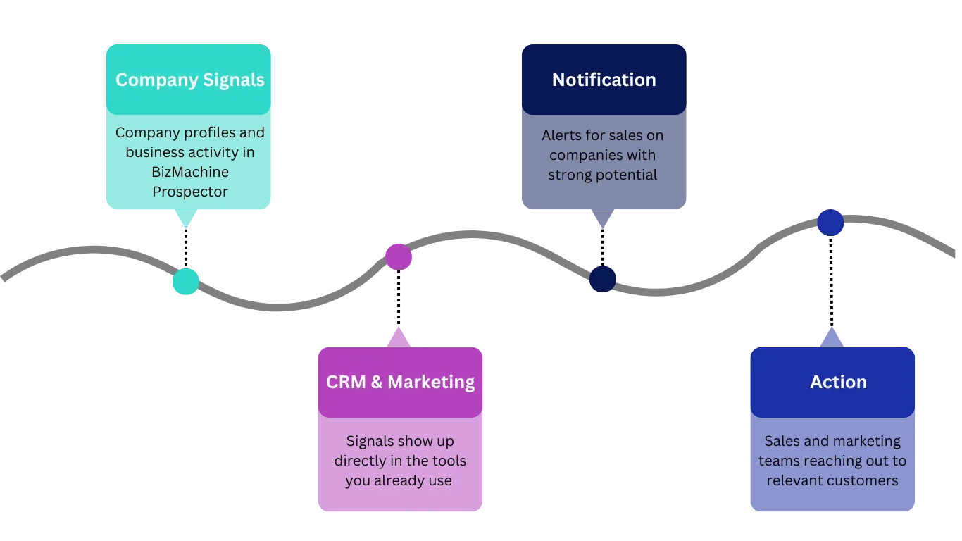 Buying signals detected by BizMachine — timing your outreach