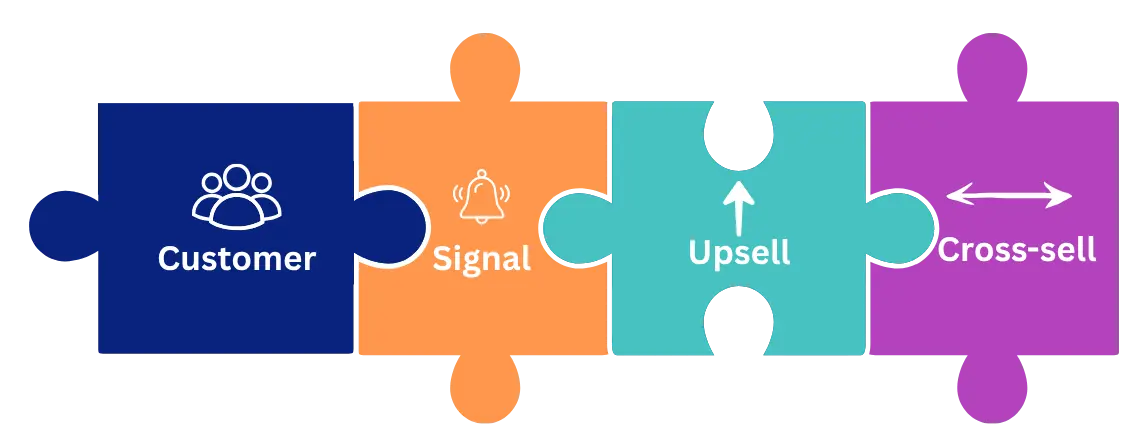Upsell and cross-sell opportunities identified by BizMachine