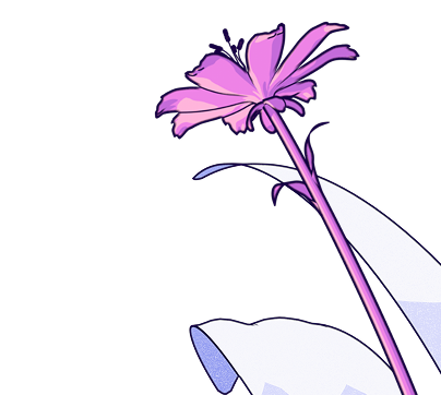 Illustration of a single pink flower with a tall stem and white leaves on a black background.