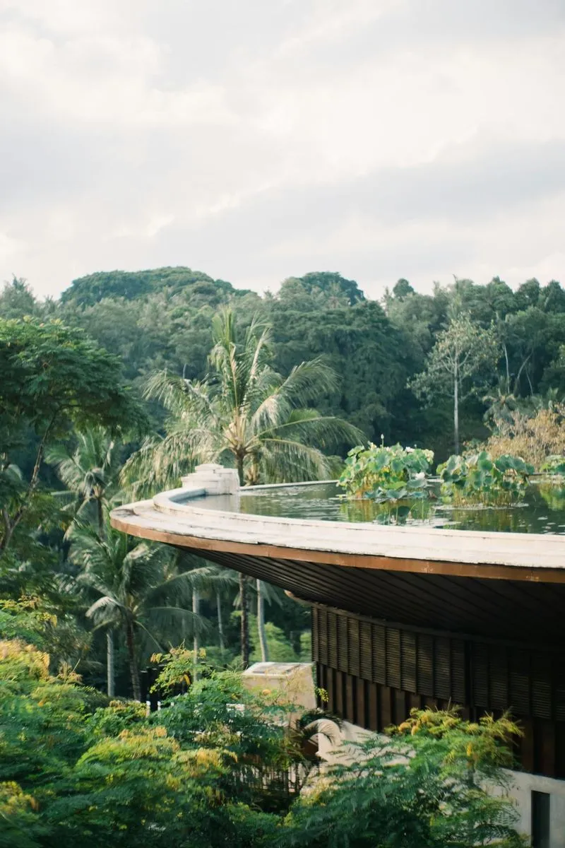 Infinity pool with a tropical forest views.