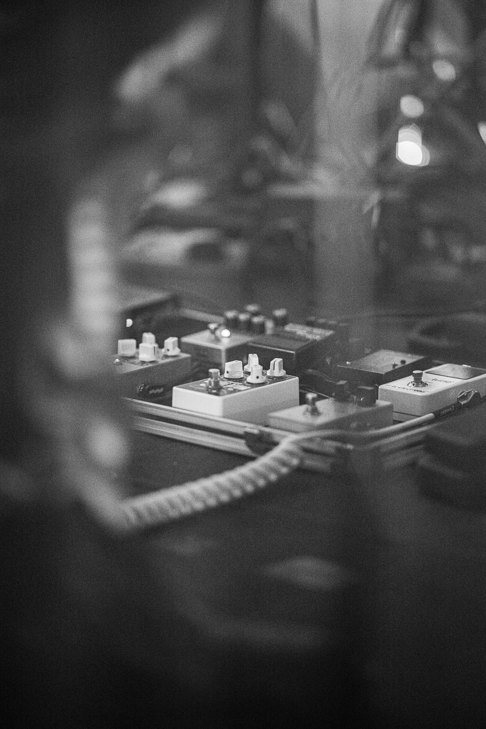 Odd Berries Performance