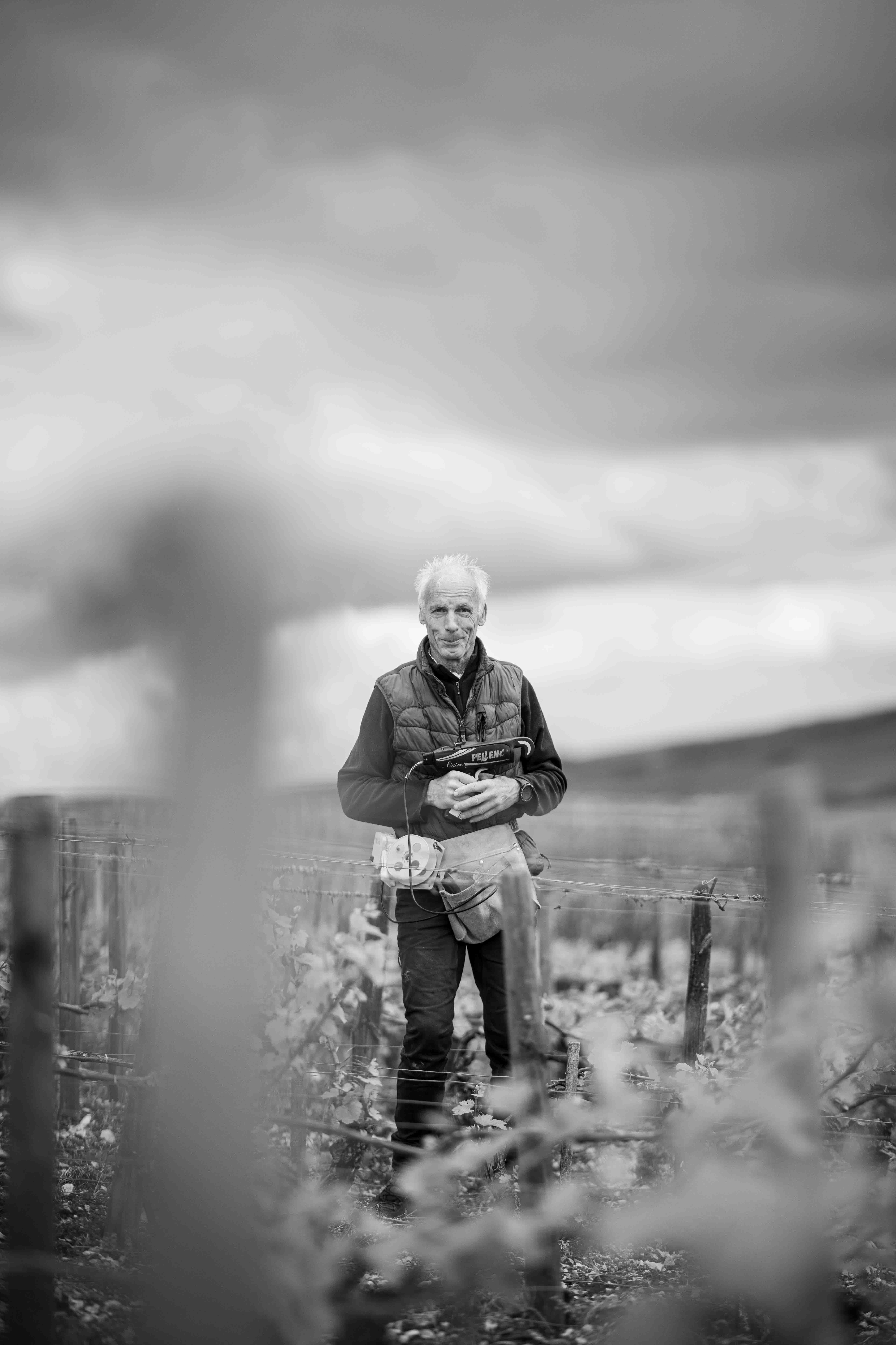 Vincent Dauvissat, Winzer