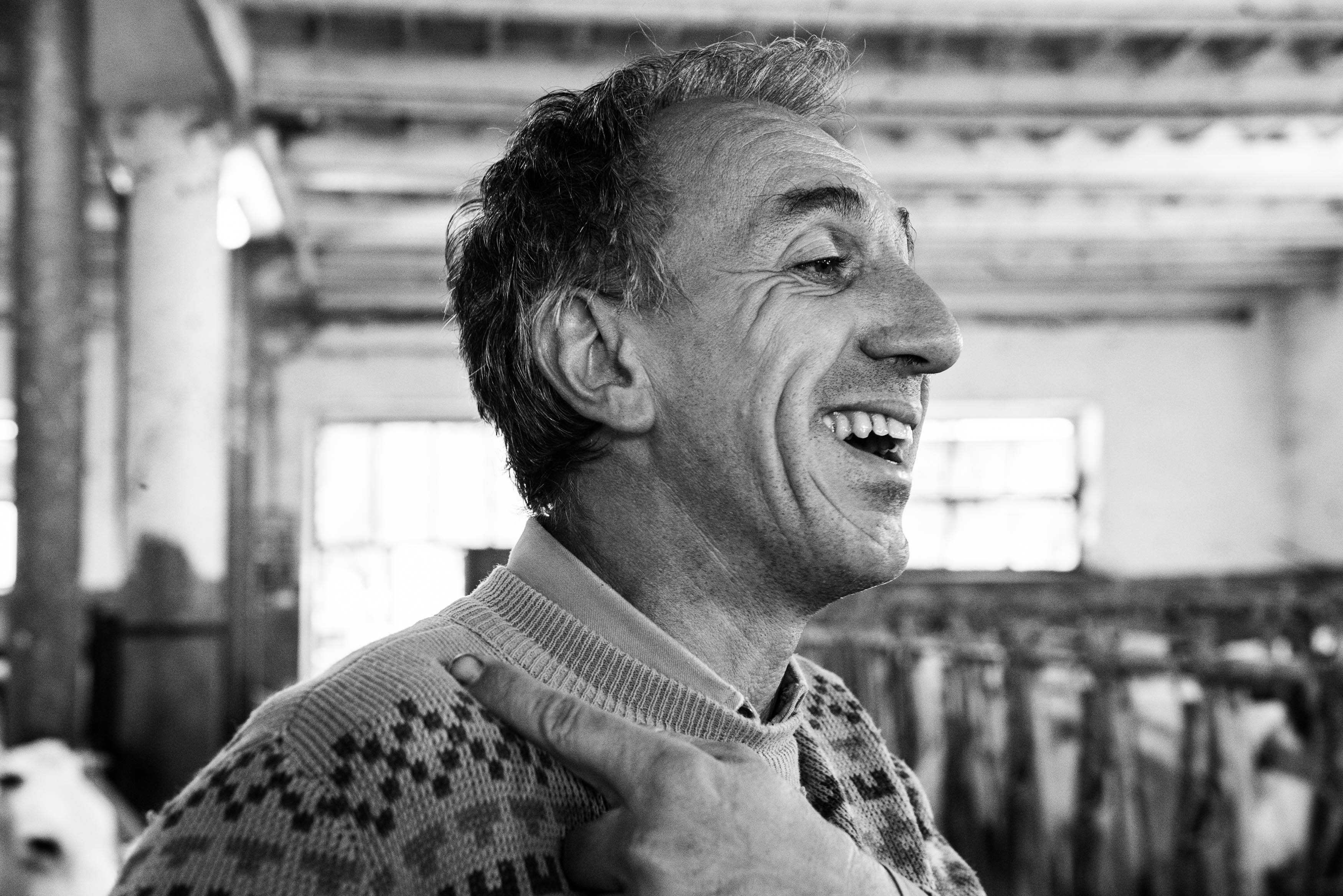 Francesco Brezza, Winzer