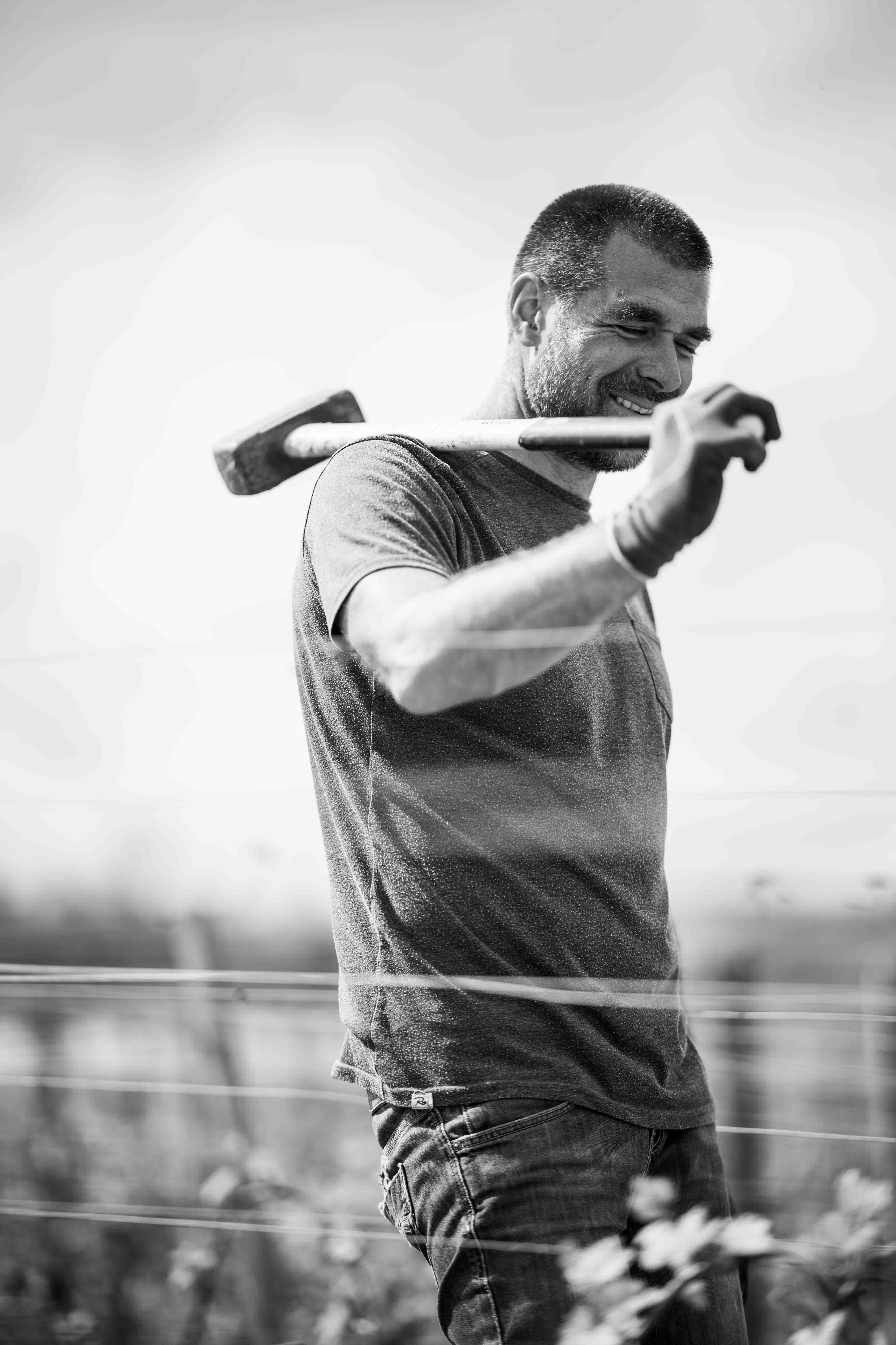 Frantz Chagnoleau, Winzer