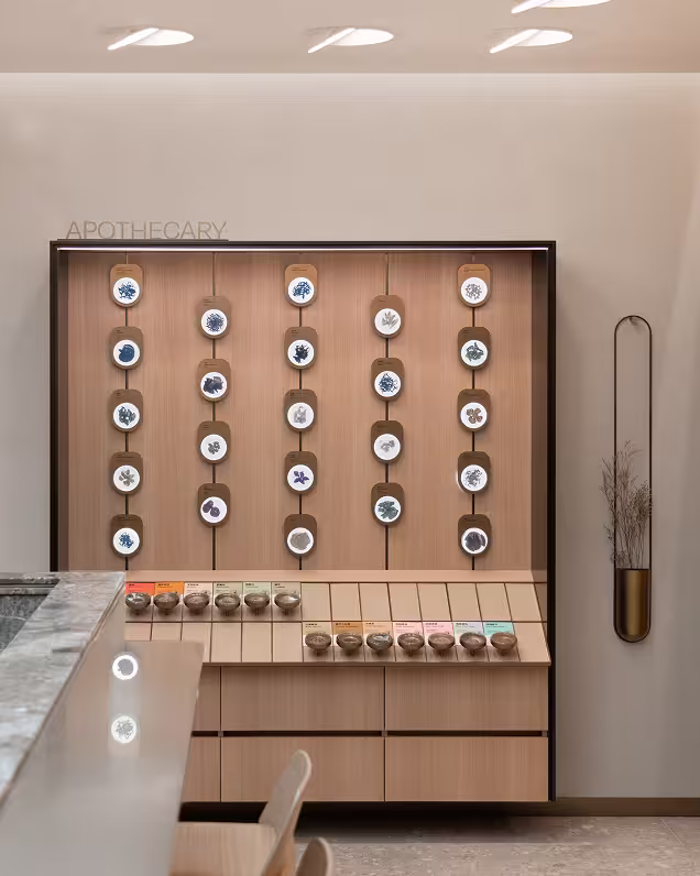 Modern apothecary display with botanical illustrations and jars of herbs on light wood shelves in a clean, minimalist interior.