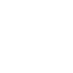 White globe icon representing the world wide web.