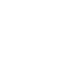 White Twitter bird logo on a transparent background.