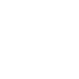 Black and white bullseye target with concentric circles.