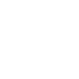 White lightning bolt icon on a transparent background.