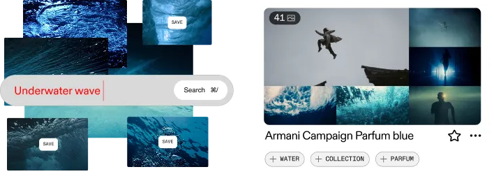 search & curate