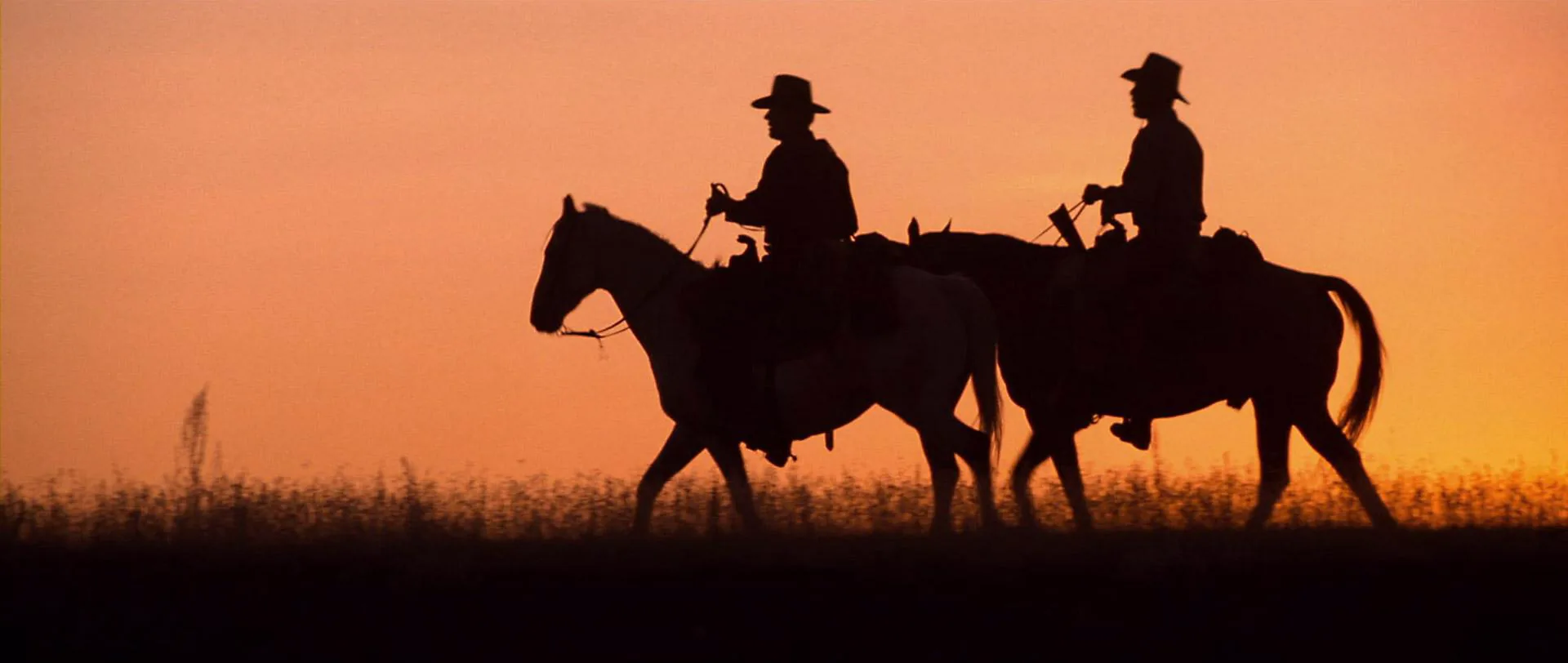 Unforgiven