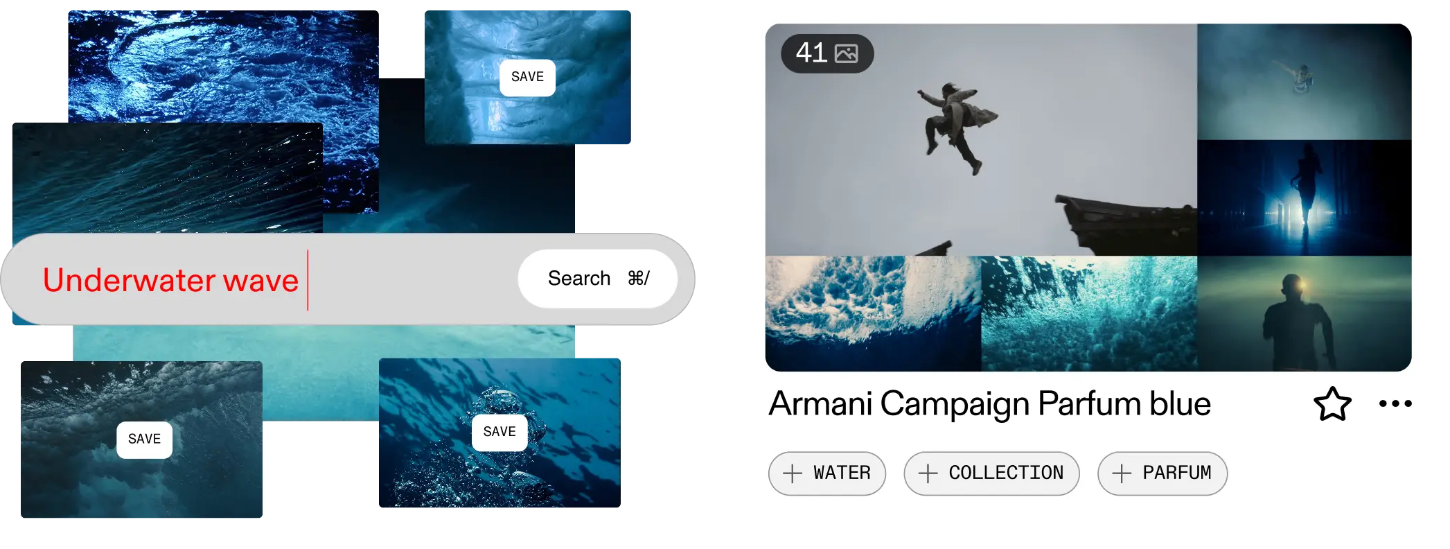 search & curate